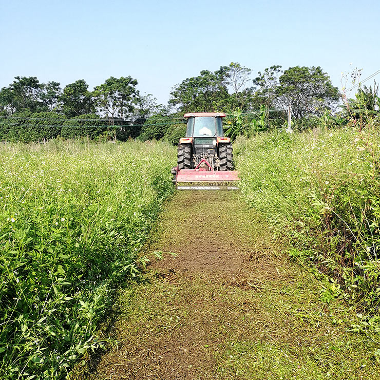 首页- 人生就是博中国官方网站