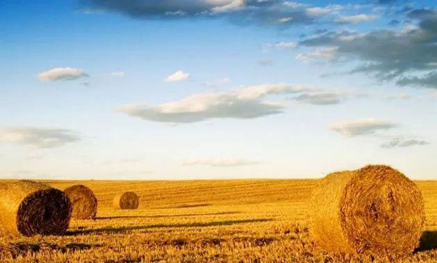 首页- 人生就是博中国官方网站