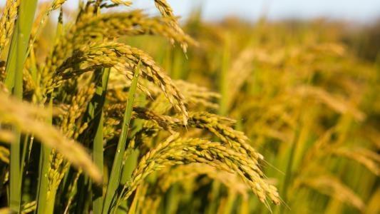 首页- 人生就是博中国官方网站