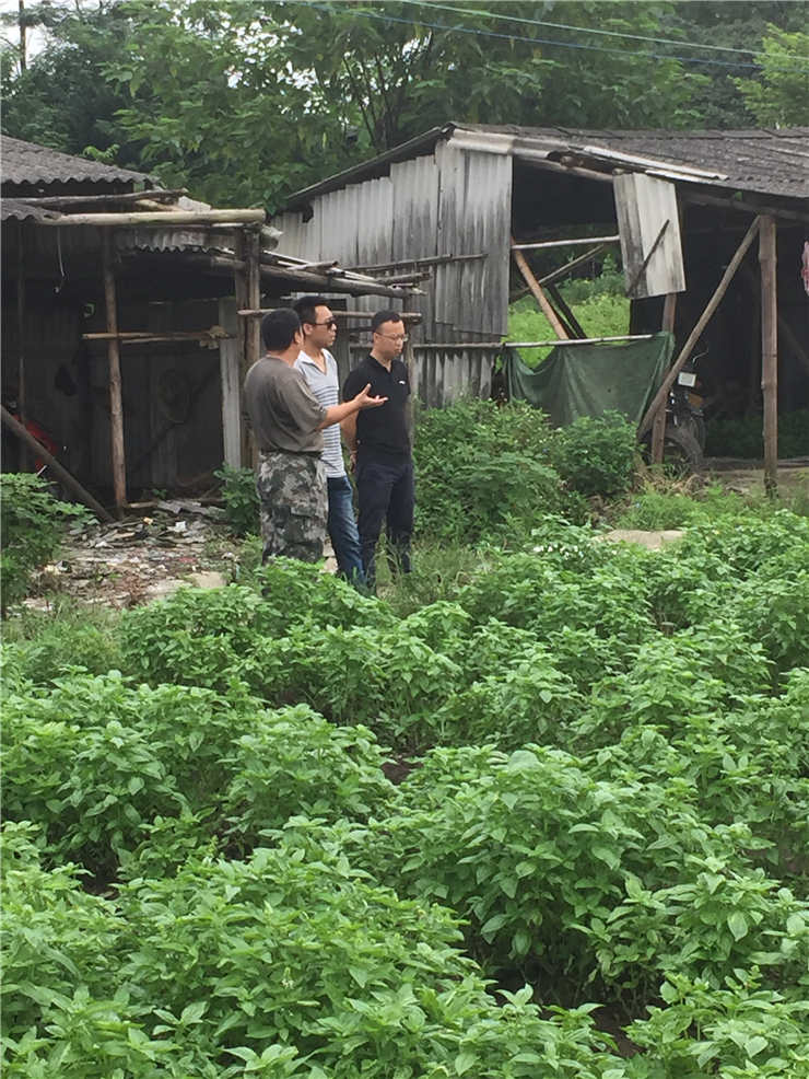 首页- 人生就是博中国官方网站