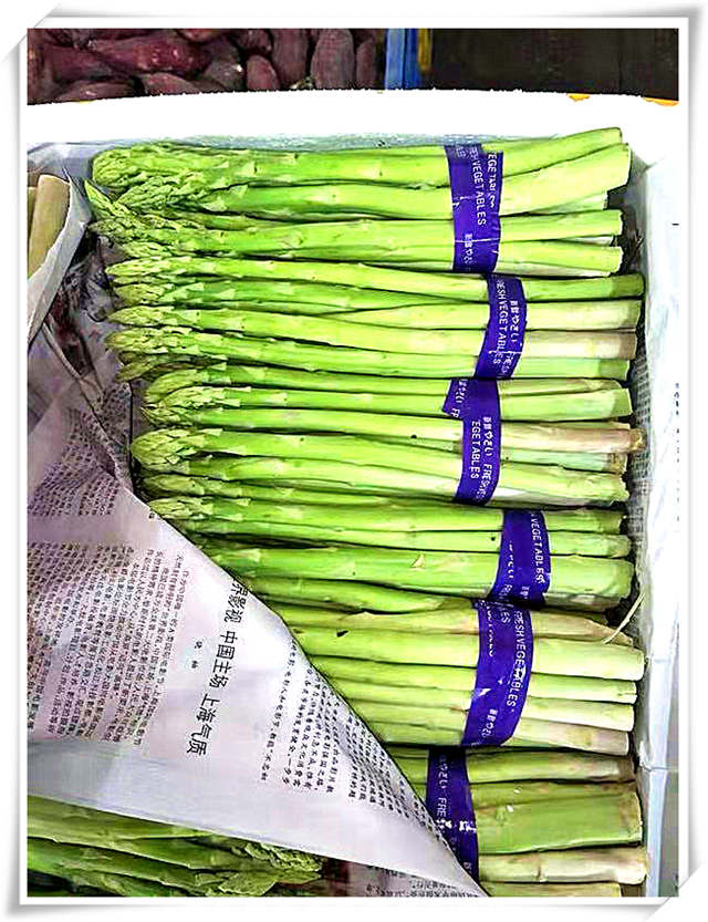 首页- 人生就是博中国官方网站