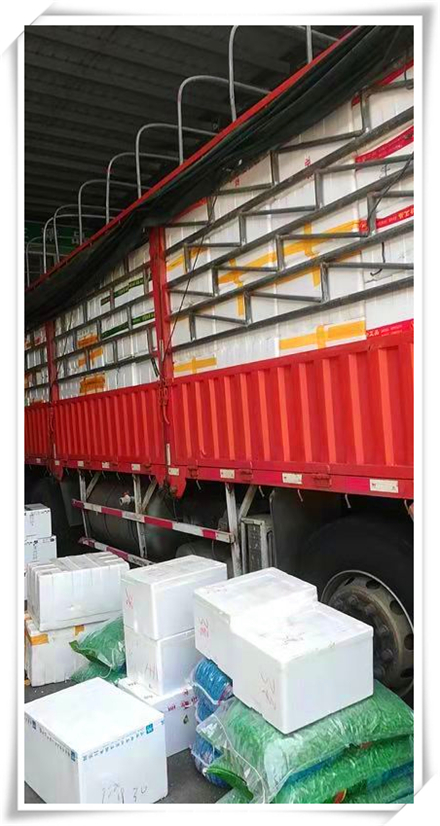 首页- 人生就是博中国官方网站