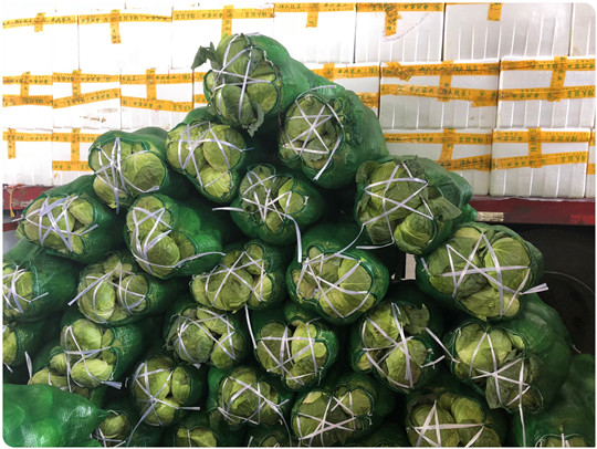 首页- 人生就是博中国官方网站