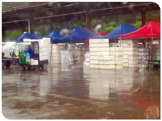 首页- 人生就是博中国官方网站