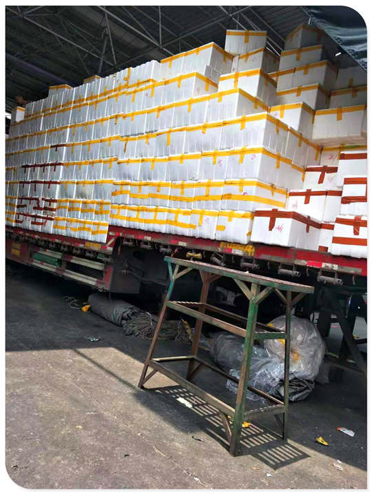 首页- 人生就是博中国官方网站