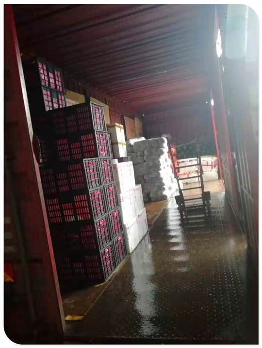 首页- 人生就是博中国官方网站