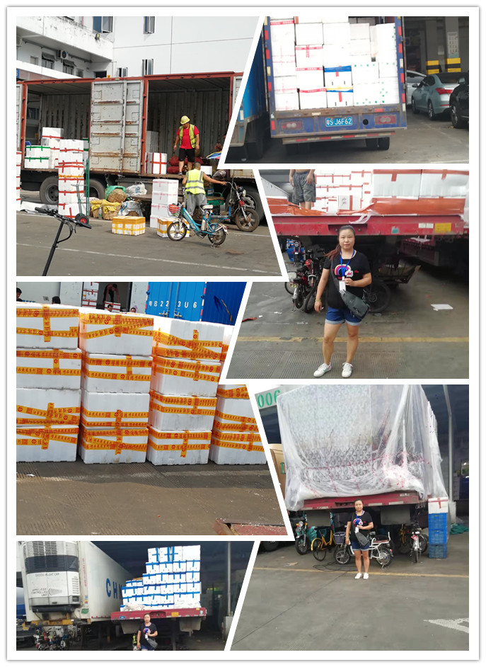 首页- 人生就是博中国官方网站