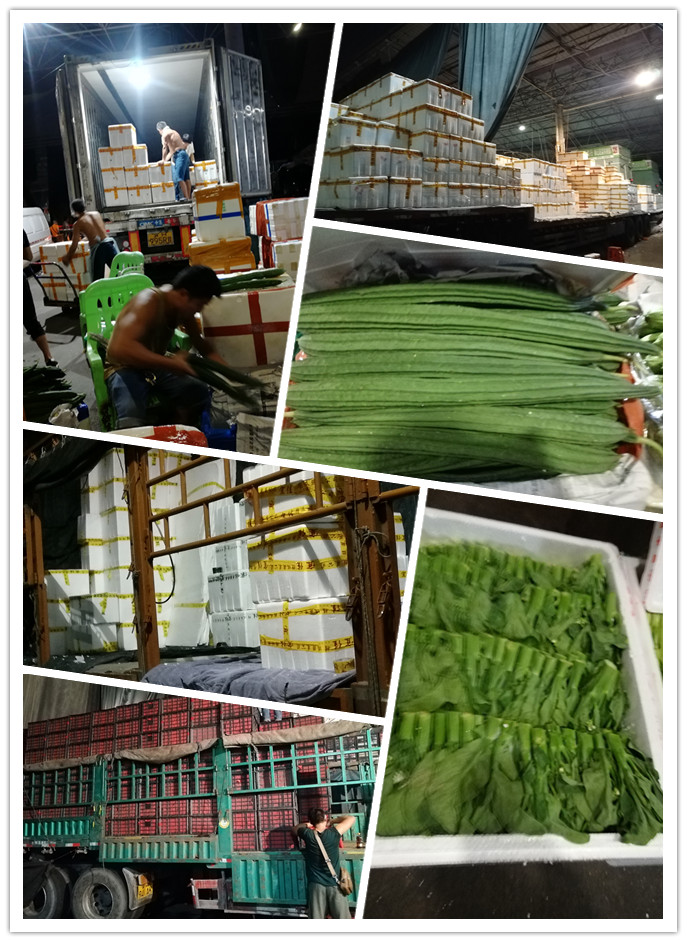 首页- 人生就是博中国官方网站