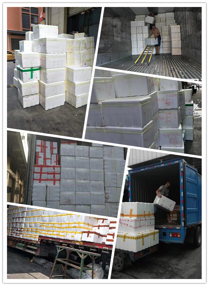 首页- 人生就是博中国官方网站