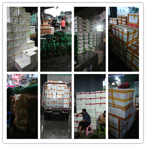 首页- 人生就是博中国官方网站