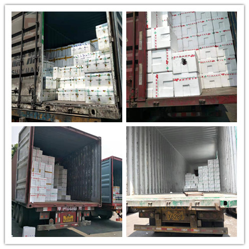 首页- 人生就是博中国官方网站