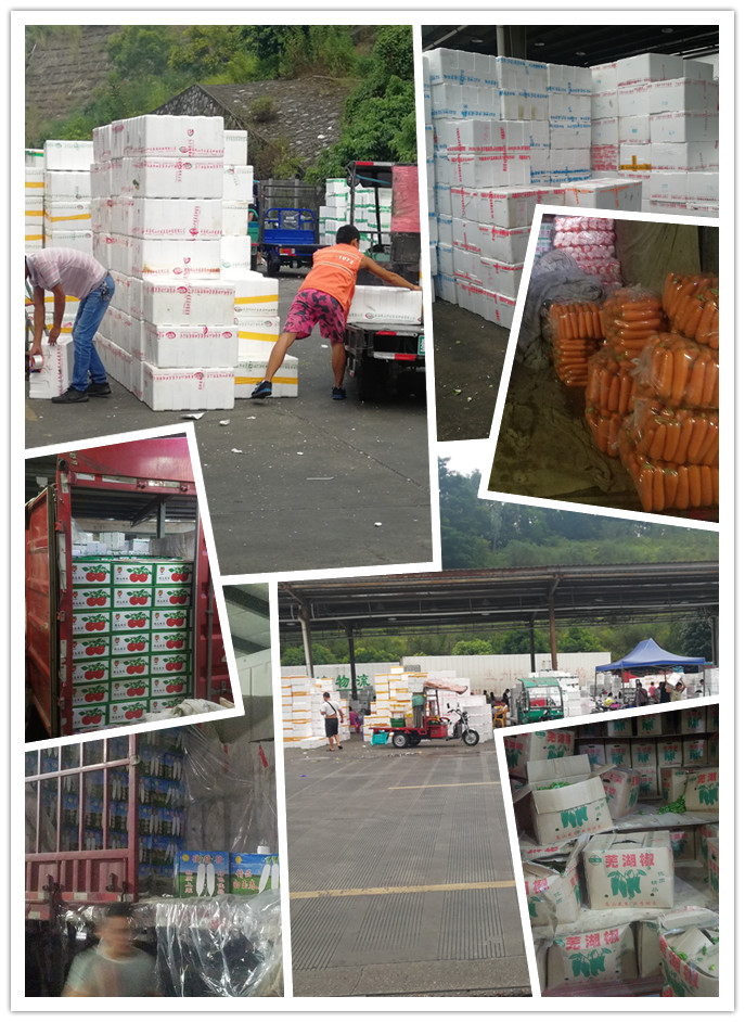 首页- 人生就是博中国官方网站