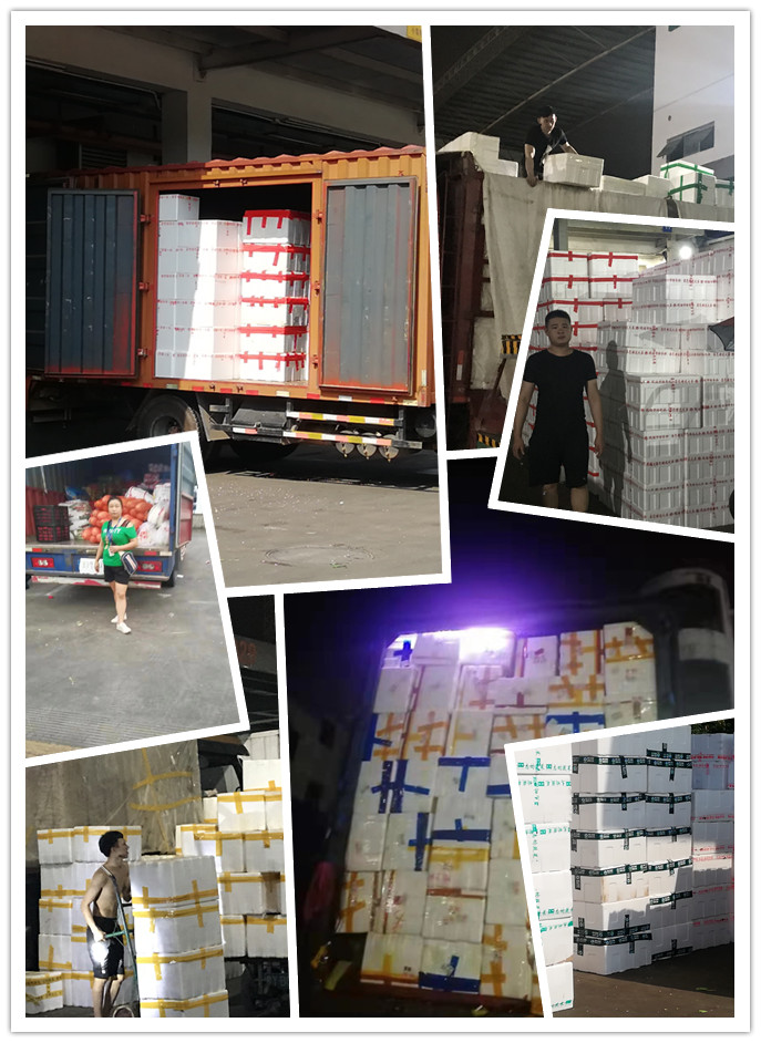 首页- 人生就是博中国官方网站