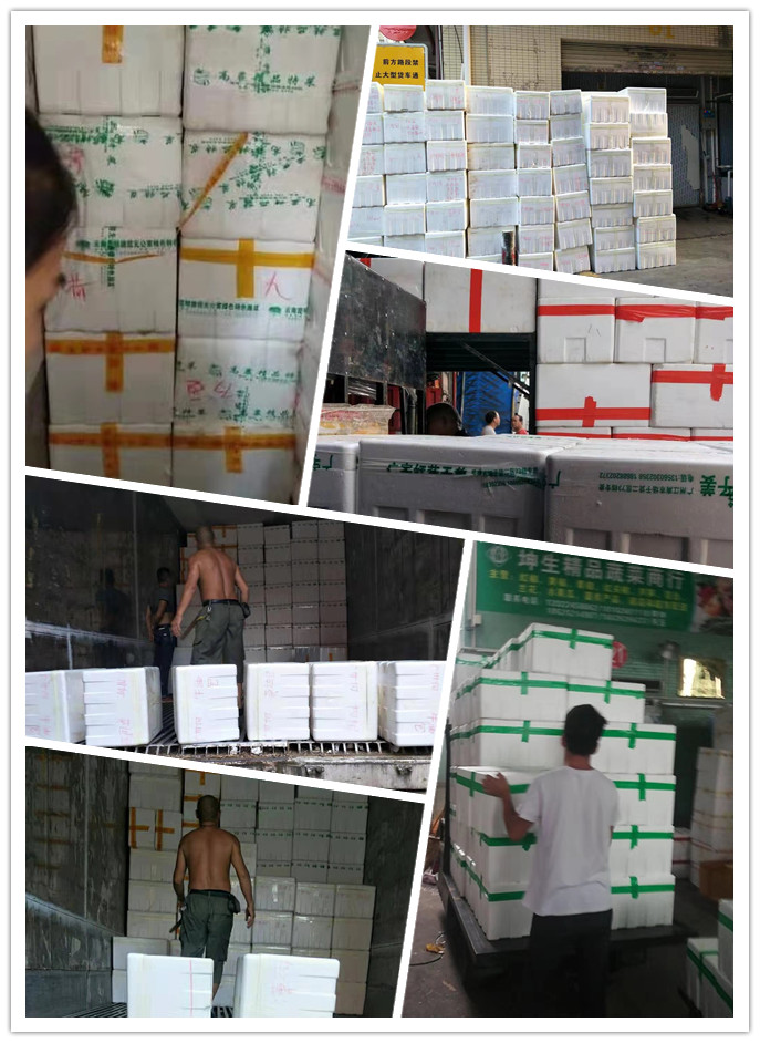 首页- 人生就是博中国官方网站