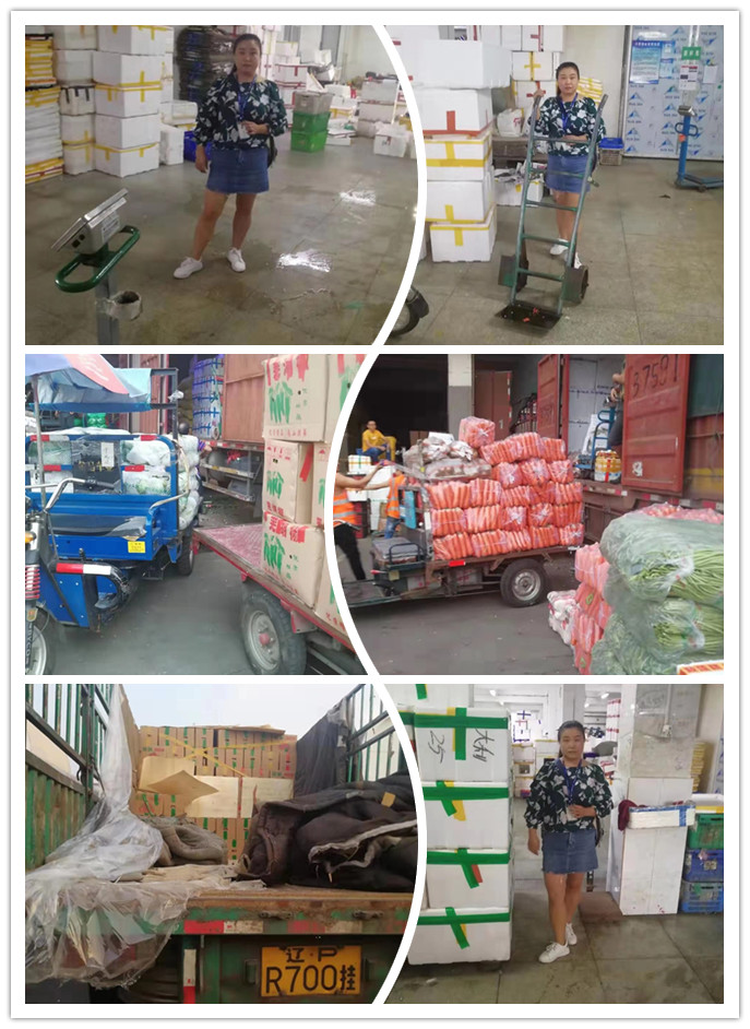 首页- 人生就是博中国官方网站