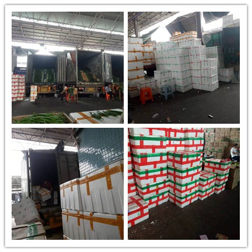 首页- 人生就是博中国官方网站