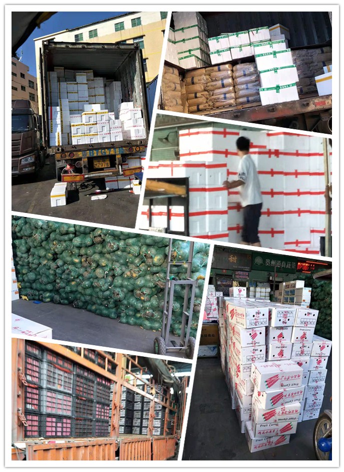 首页- 人生就是博中国官方网站