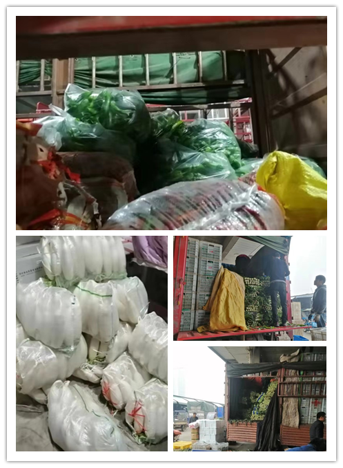 首页- 人生就是博中国官方网站