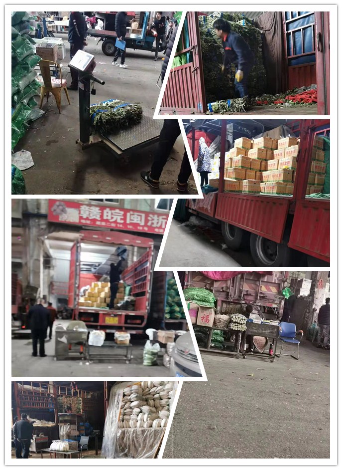 首页- 人生就是博中国官方网站