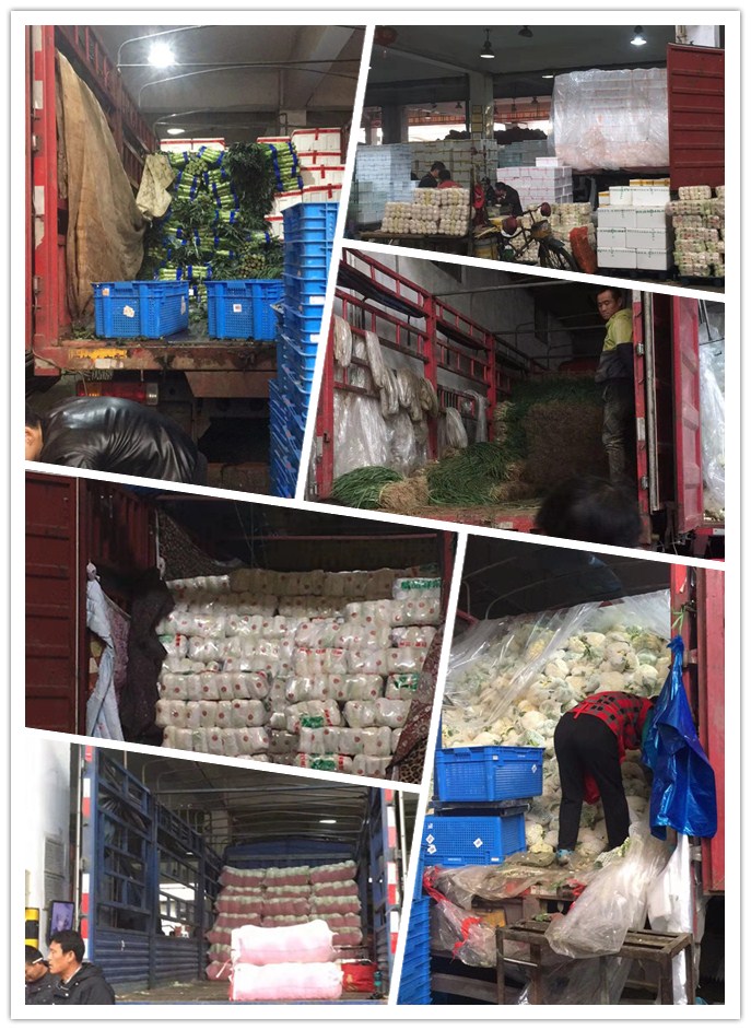 首页- 人生就是博中国官方网站