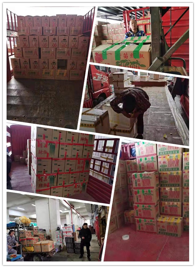 首页- 人生就是博中国官方网站