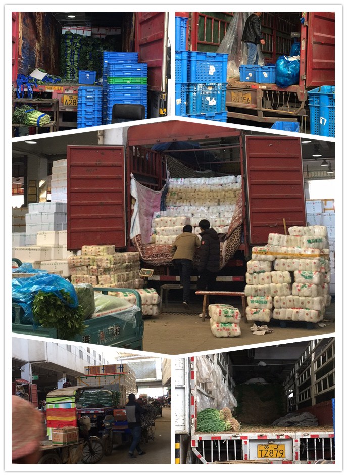 首页- 人生就是博中国官方网站