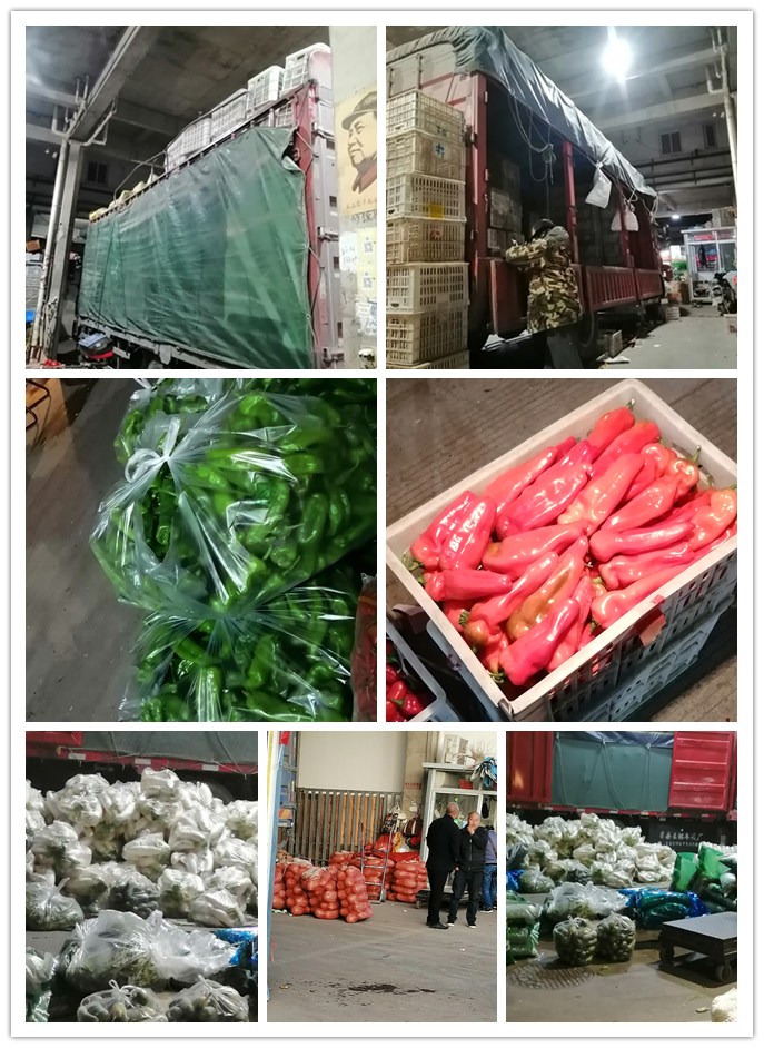 首页- 人生就是博中国官方网站