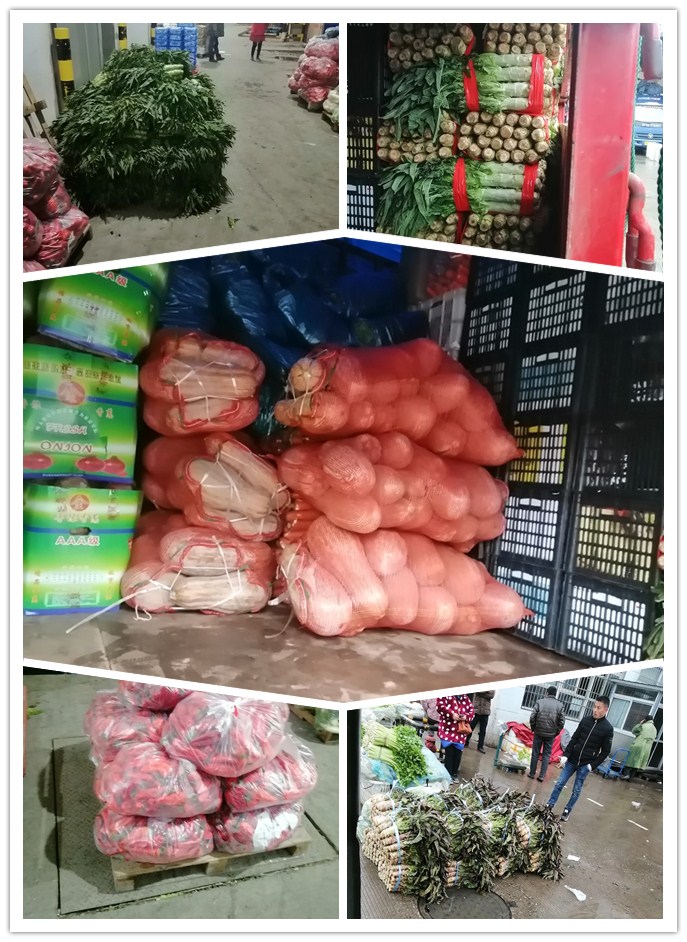 首页- 人生就是博中国官方网站