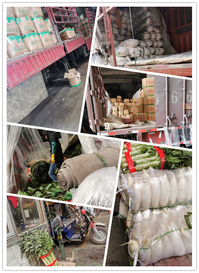 首页- 人生就是博中国官方网站