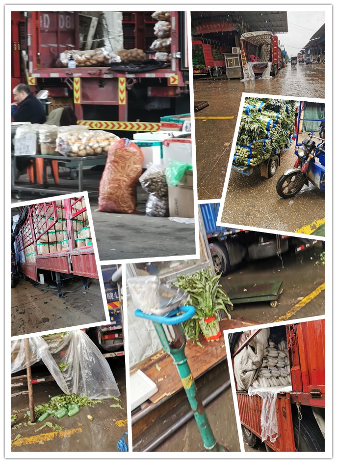 首页- 人生就是博中国官方网站