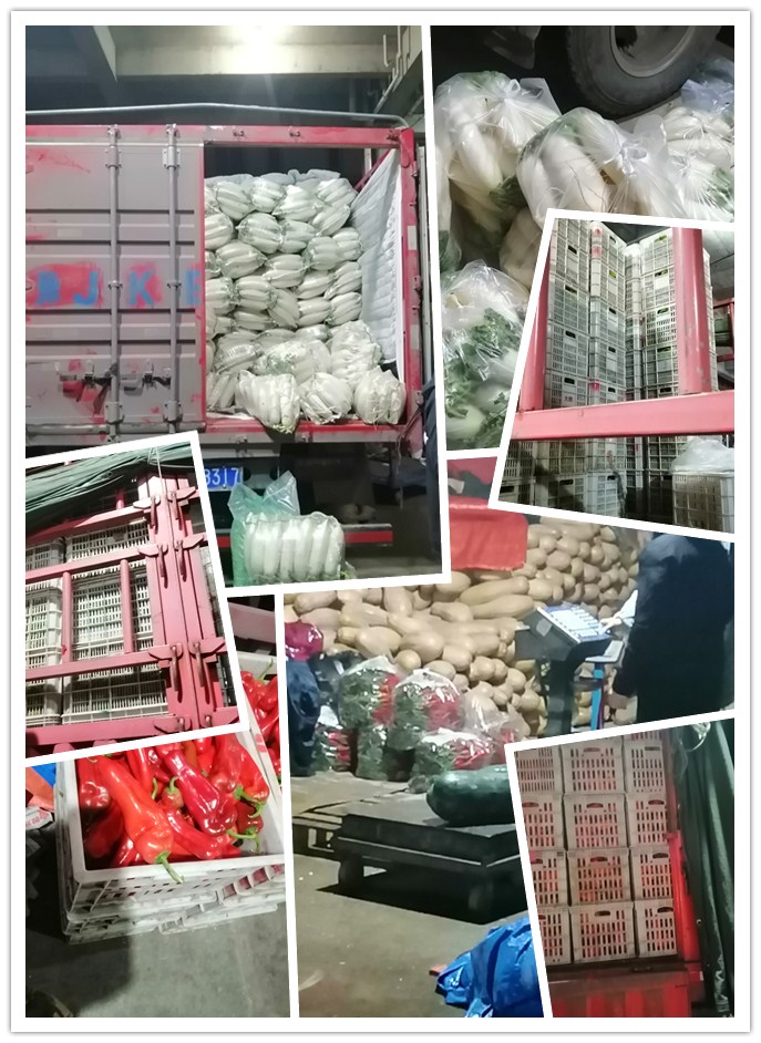 首页- 人生就是博中国官方网站