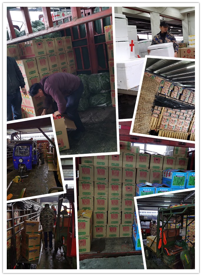 首页- 人生就是博中国官方网站