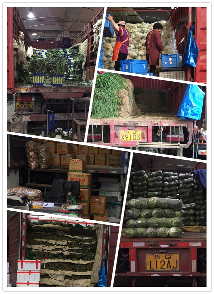 首页- 人生就是博中国官方网站