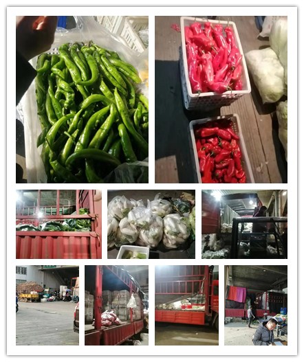 首页- 人生就是博中国官方网站