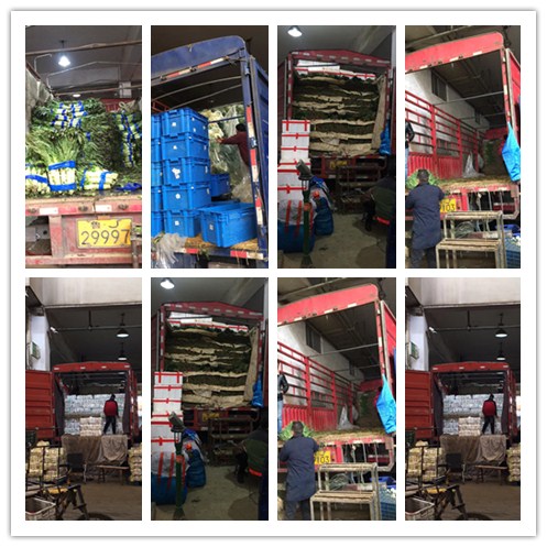 首页- 人生就是博中国官方网站