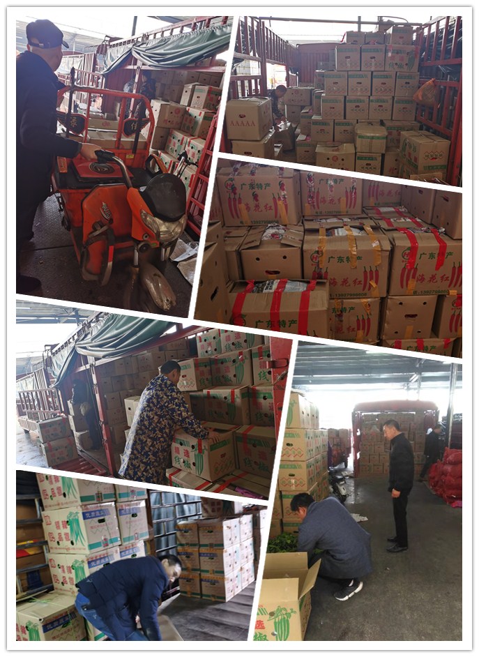 首页- 人生就是博中国官方网站