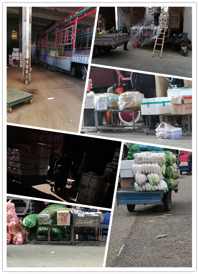 首页- 人生就是博中国官方网站