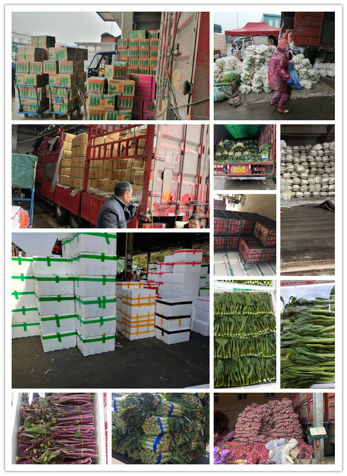 首页- 人生就是博中国官方网站