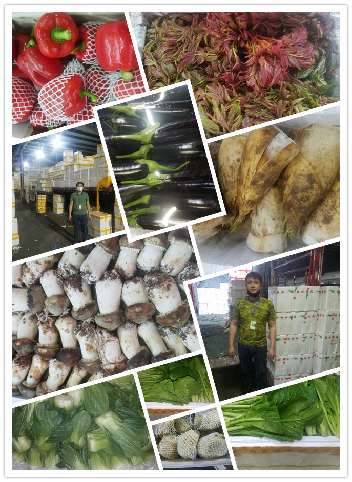 首页- 人生就是博中国官方网站