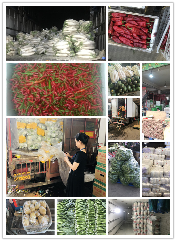 首页- 人生就是博中国官方网站