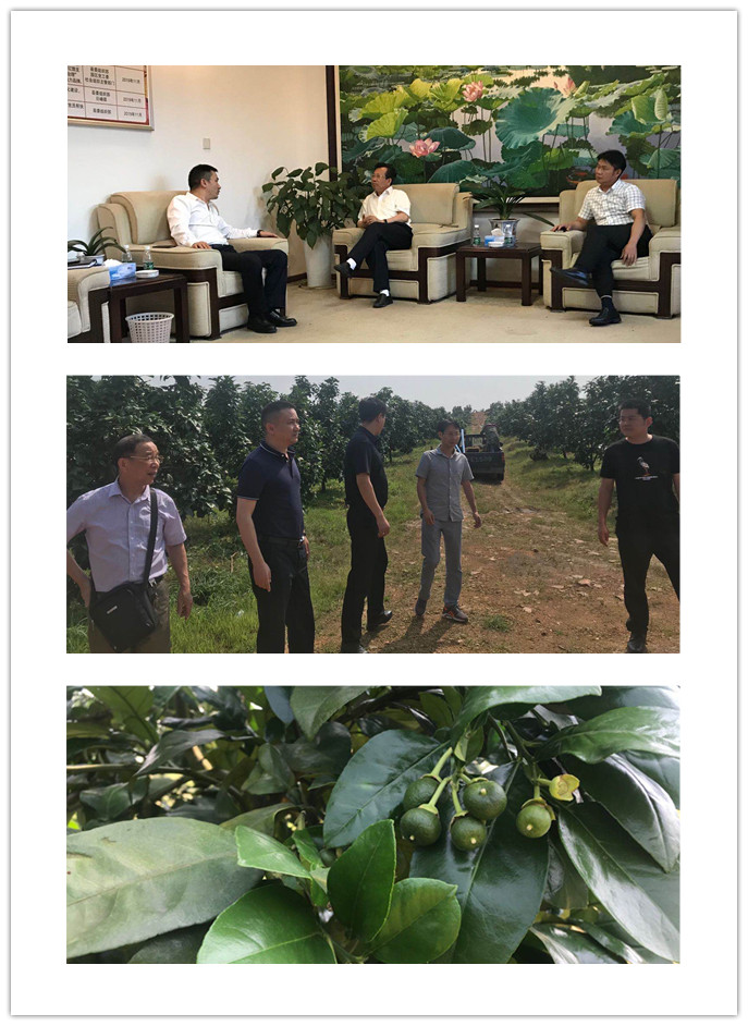 首页- 人生就是博中国官方网站