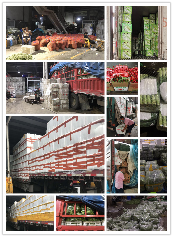 首页- 人生就是博中国官方网站