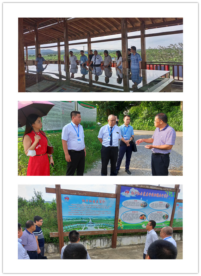 首页- 人生就是博中国官方网站