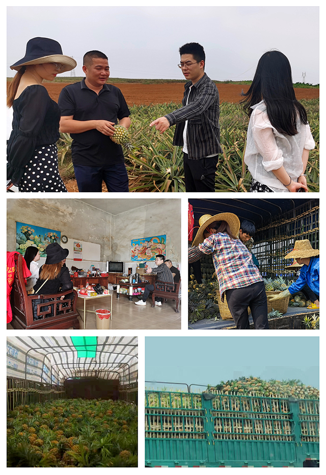 首页- 人生就是博中国官方网站