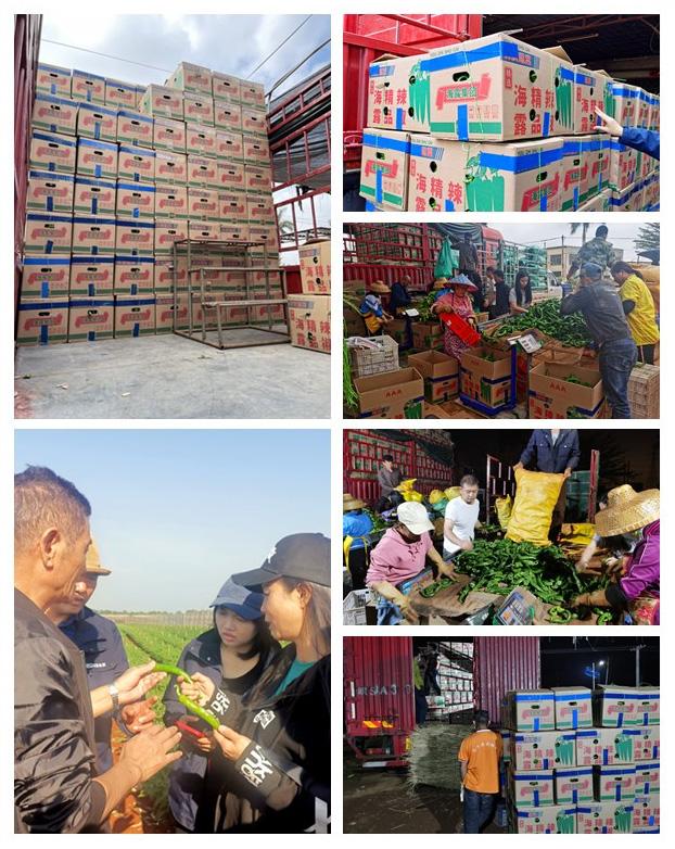 首页- 人生就是博中国官方网站