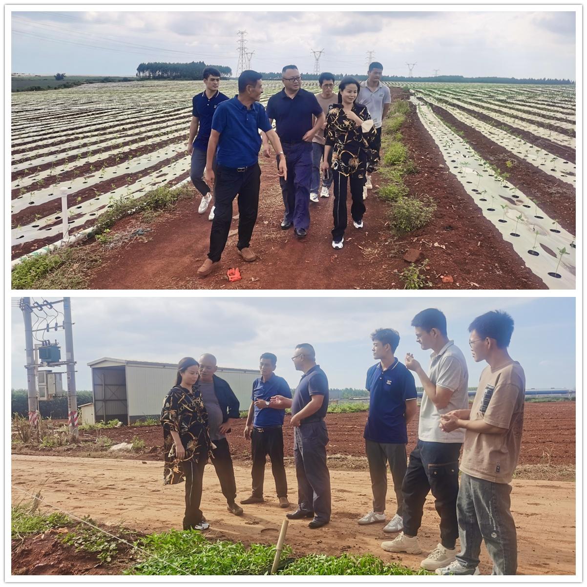首页- 人生就是博中国官方网站