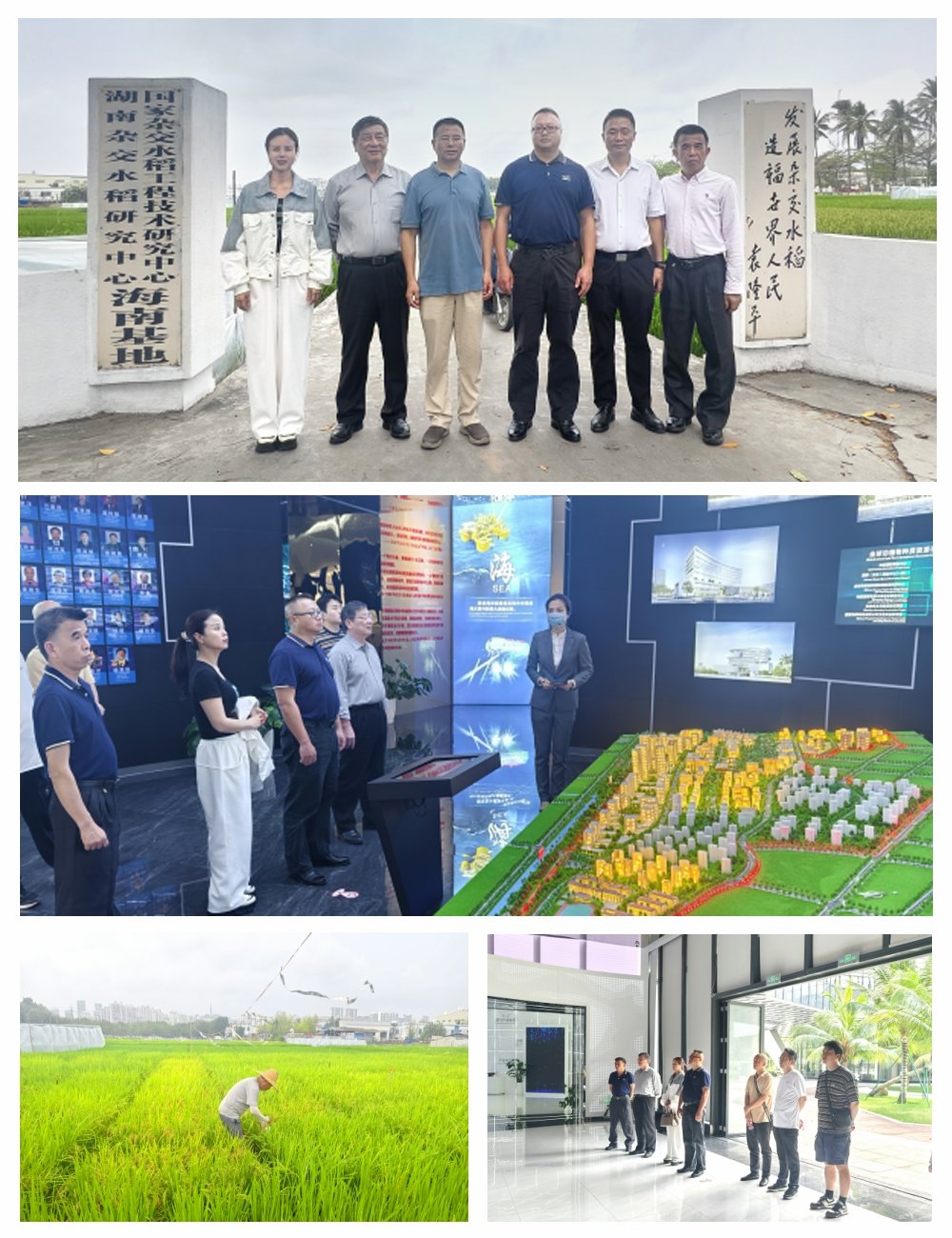 首页- 人生就是博中国官方网站