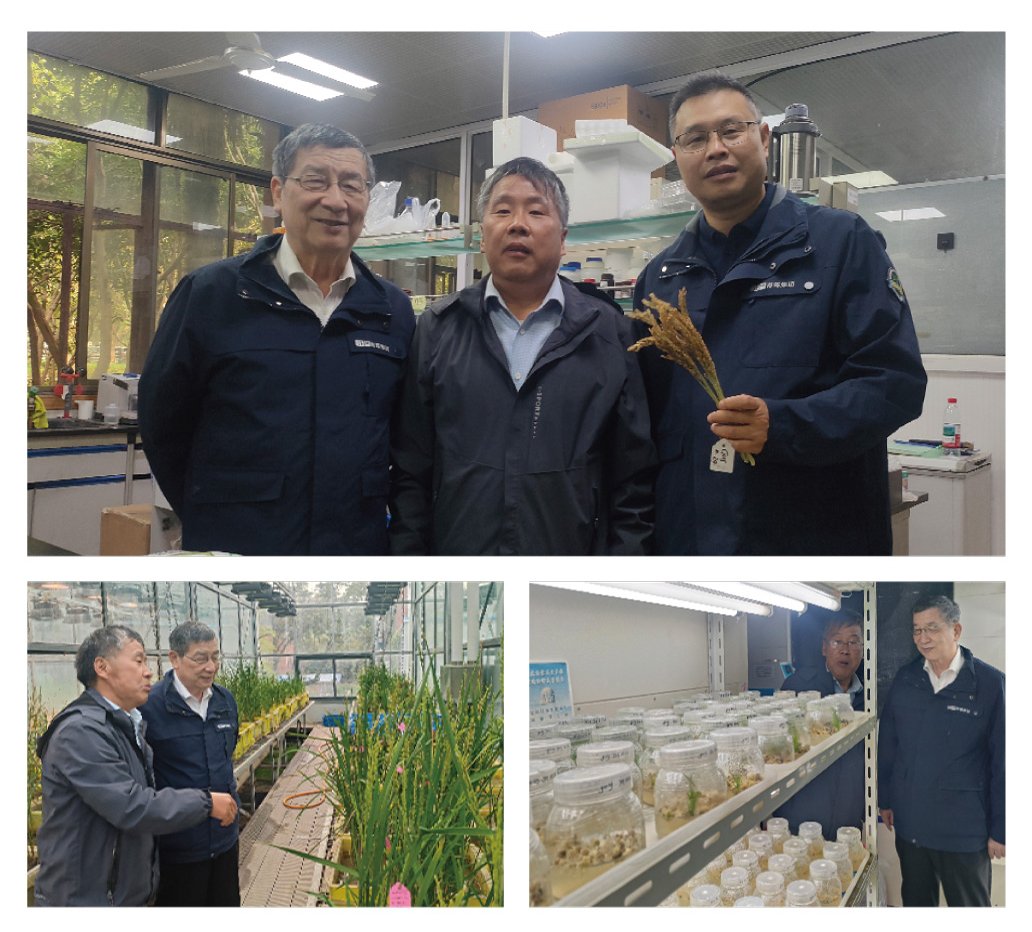 首页- 人生就是博中国官方网站